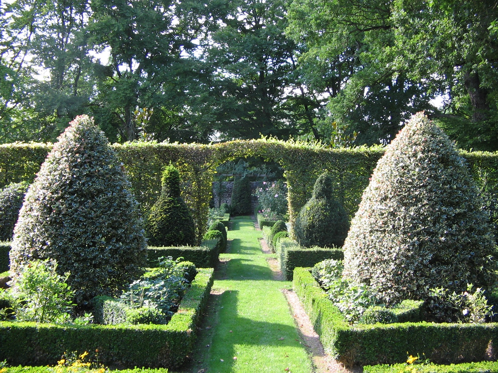 Perspective de buis taillés dans les jardins galants du Château de Hac
